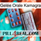 Gelée Orale Kamagra 36